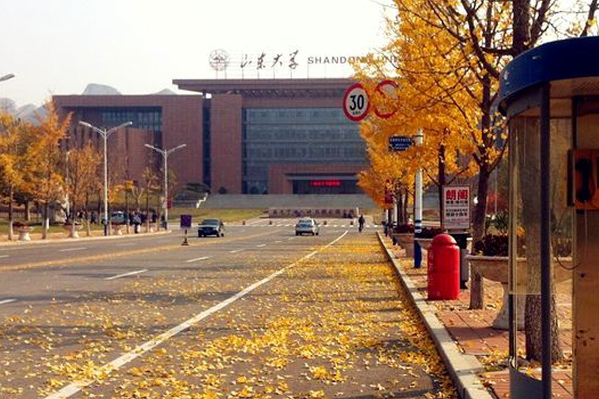 An autumn street lined with trees and campus buildings in soft daylight.