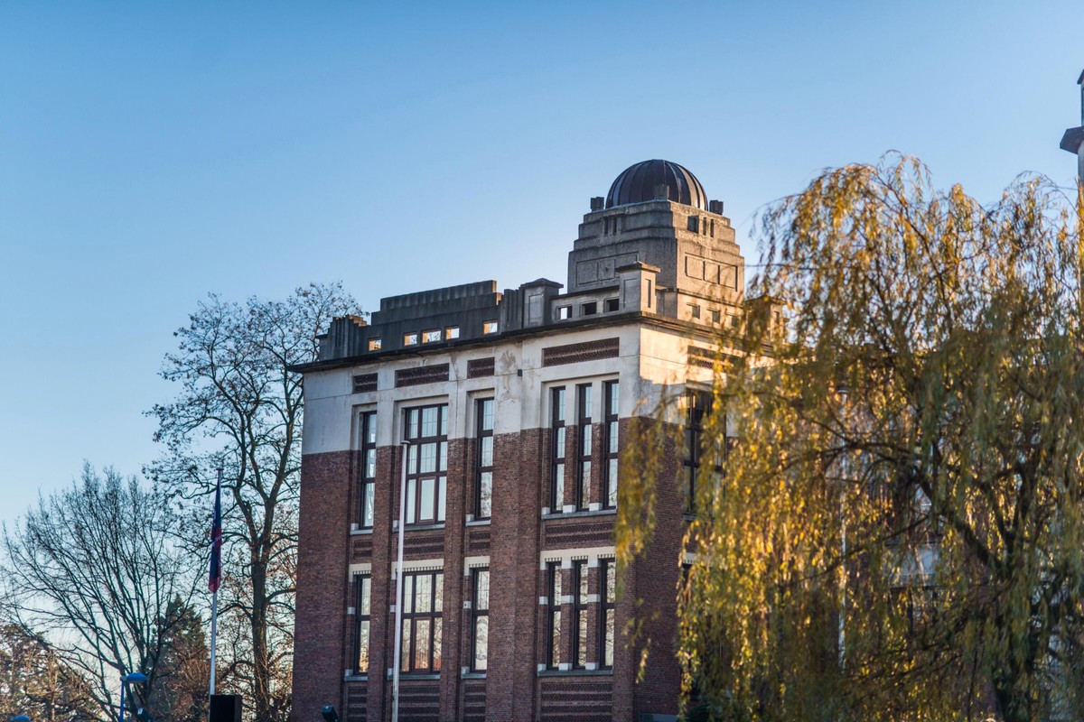 An older city building framed by trees under a clear sky.