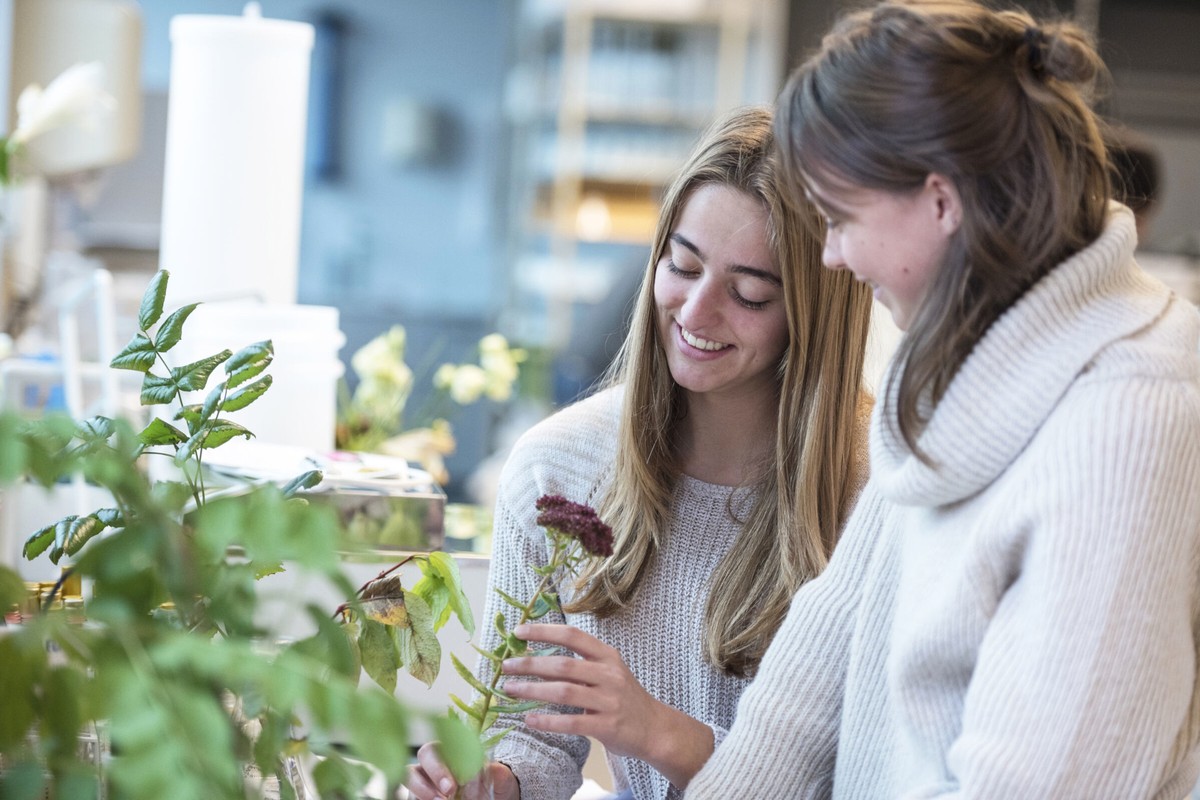 Two people examining a small green plant together in bright natural light.